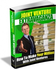 Ebook cover: Joint Venture Extravaganza