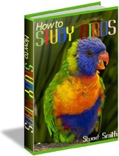 Ebook cover: How-to Study Birds