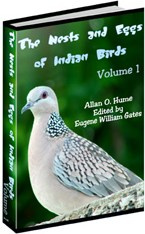 Ebook cover: The Nests and Eggs of Indian Birds