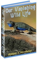 Ebook cover: Our Vanishing Wild Life