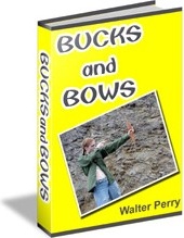 Ebook cover: Bucks And Bows