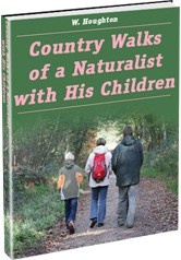 Ebook cover: Country Walks of a Naturalist with His Children