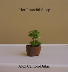 Ebook cover: Her Peaceful Sleep