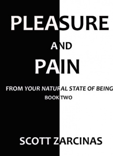 Ebook cover: Pleasure & Pain