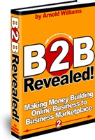 Ebook cover: B2B Revealed