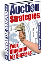 Ebook cover: Auction Strategies