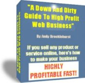 Ebook cover: A Down and Dirty Guide to High Profit Web Business