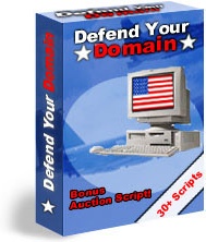 Ebook cover: Defend Your Domain