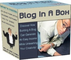 Ebook cover: Blog In A Box