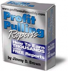 Ebook cover: How to Write Profit Pulling Reports