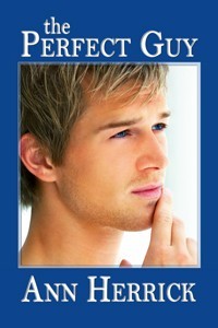 Ebook cover: The Perfect Guy