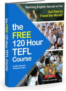Ebook cover: The Free 120 Hour TEFL Course