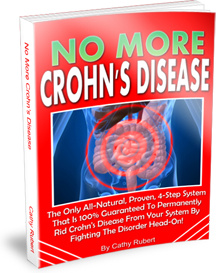 Ebook cover: No More Crohn's Disease!