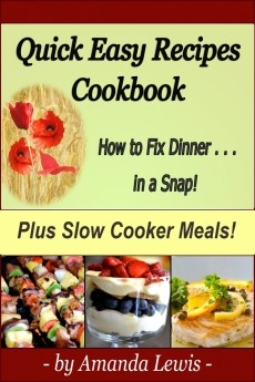 Ebook cover: Quick Easy Recipes Cookbook: Plus Slow Cooker Meals!