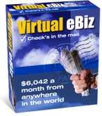 Ebook cover: Virtual eBiz