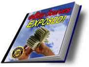 Ebook cover: ebay Sources EXPOSED