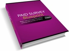 Ebook cover: Paid Surveys Blueprint