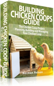Ebook cover: Building Chicken Coops Guide