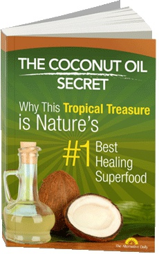 Ebook cover: Coconut Oil Secret