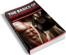 Ebook cover: Muscle Building 101