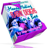 Ebook cover: Money Making Flashy Designs in a Box