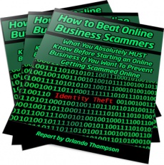 Ebook cover: How to Beat Online Business Scammers