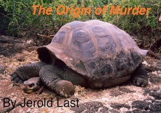 Ebook cover: The Origin of Murder