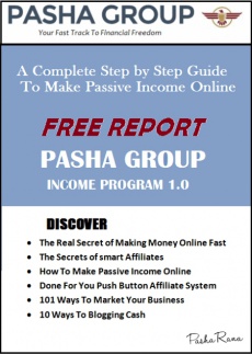 Ebook cover: Pasha Group Income Program Report