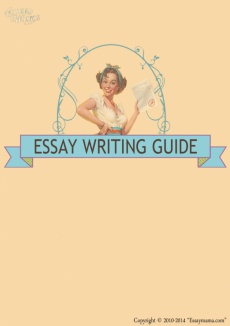 Ebook cover: Essaymama's Essay Writing Guide