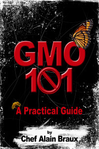 Ebook cover: GMO 101 – A Practical Guide