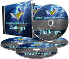 Ebook cover: Ocean Conservation Careers