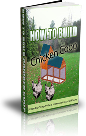 Ebook cover: Chicken Coop Plans