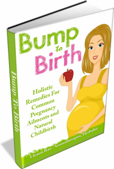 Ebook cover: Bump to Birth