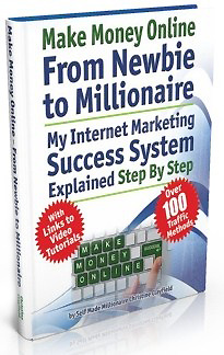 Ebook cover: Newbie to Millionaire