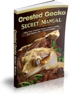 Ebook cover: Crested Gecko Secret Manual