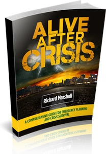 Ebook cover: Alive After Crisis