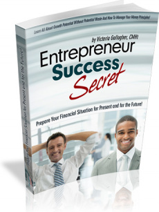 Ebook cover: Entrepreneur Success Secret