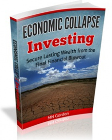 Ebook cover: Economic Collapse Investing