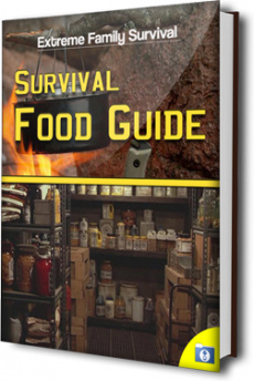 Ebook cover: The Survival Food Guide