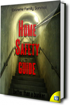 Ebook cover: The Home Safety Guide
