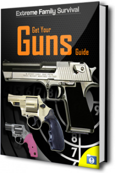 Ebook cover: Get Your Gun Guide