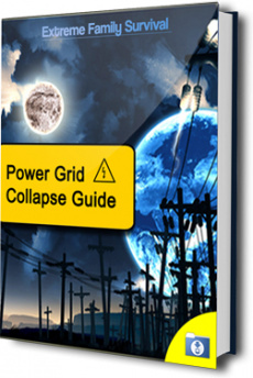 Ebook cover: The Power Grid Collapse Guide