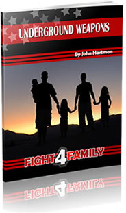 Ebook cover: Fight 4 Family
