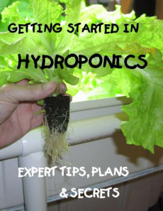 Ebook cover: Getting Started in Hydroponics