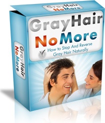 Ebook cover: Gray Hair No More
