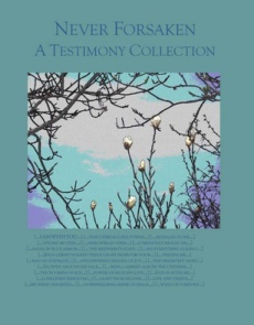 Ebook cover: Never Forsaken: A Testimony Collection