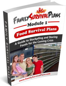 Ebook cover: Family Survival Plans