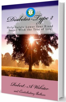 Ebook cover: Diabetes type 2