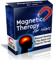 Ebook cover: Magnetic Therapy For Idiots