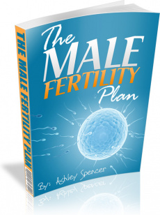 Ebook cover: Male Fertility Plan